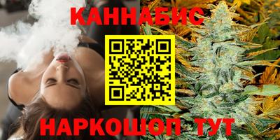 стафф Шебекино