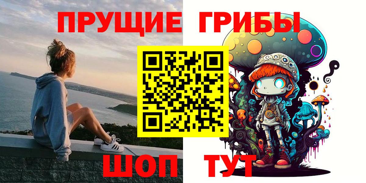 Псилоцибиновые грибы Psilocybe Богородицк